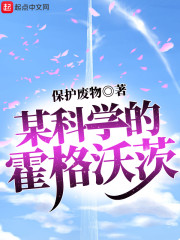 某科学的霍格沃茨章节列表