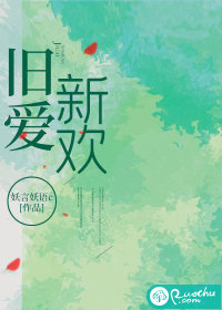 旧爱新欢章节列表