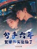 分手六年，贺律师又沦陷了章节列表