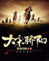 大宋骄阳章节列表