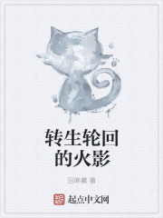 转生轮回的火影章节列表